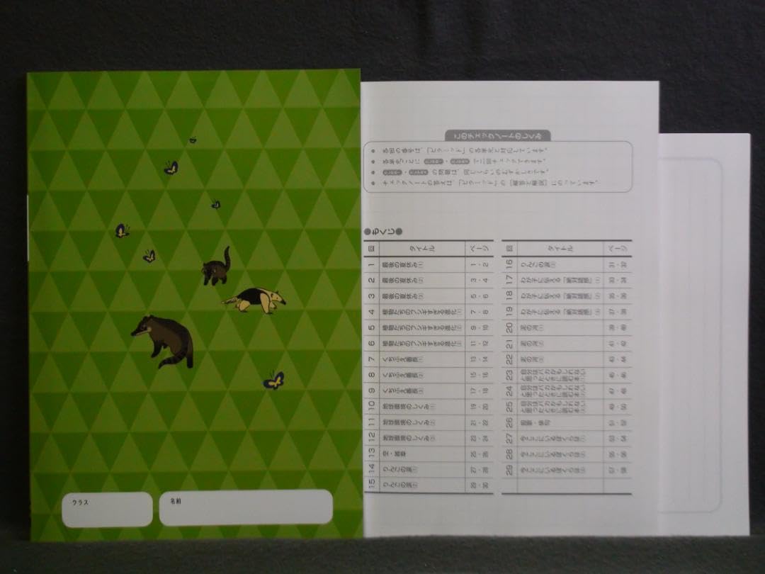 【最新版】 新品 ピラミッド問題集 国語 小６他【解答付】 教育開発出版 2025年度版 ピラミッドリル 国語 小4～6 各学年